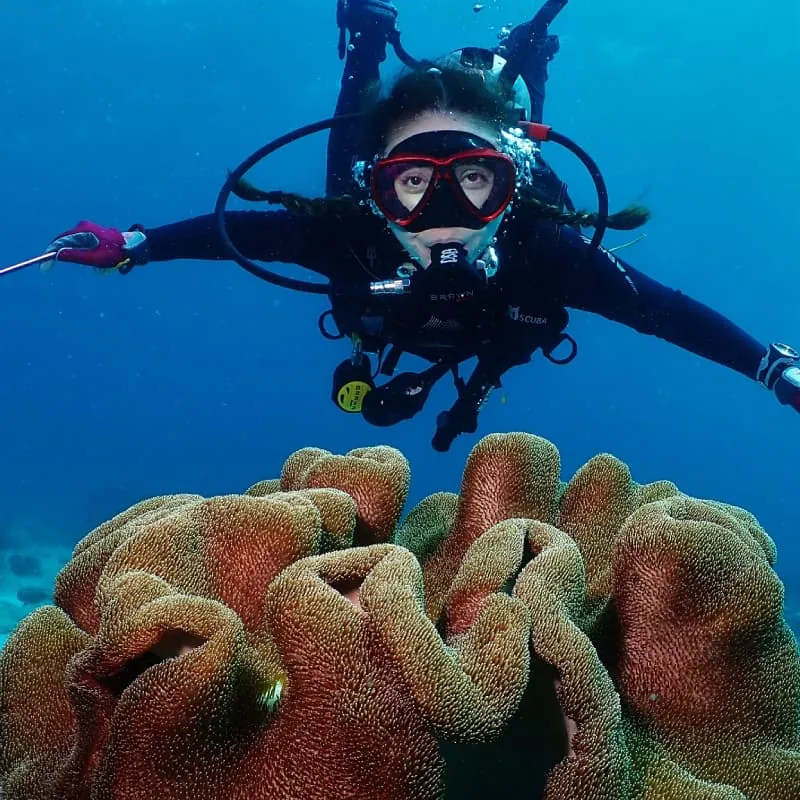 Padang Bai Blue Lagoon Reef Dive Site